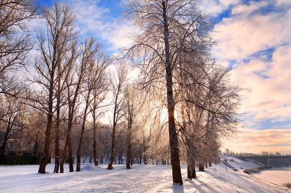 Обои холод, season; silence sky, landscape, chill december, природа, snow weather, Winter, небо, white wonderland, bright, nature, festive, road, pathway, дорога, облака, Зима, деревья, снег, quiet, forest, rural scene, belarus, иней, пейзаж