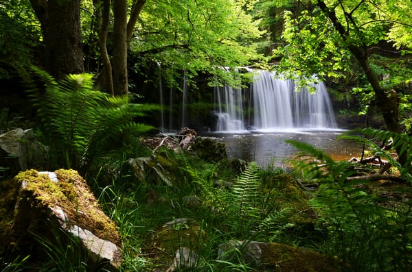 Обои Brecon Beacons National Park, водопад, папоротник, Англия, England, лес