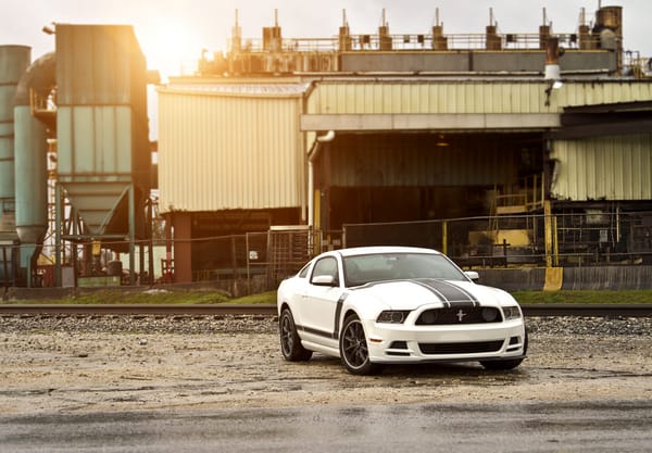 Обои Ford, мускул кар, форд, белый, спортивные полосы, блик, white, Boss 302, Mustang, muscle car, мустанг