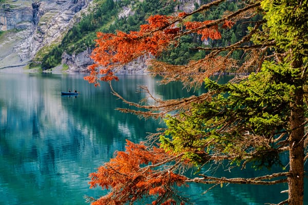 Обои осень, рыбаки, Bernese Oberland, Switzerland, дерево, озеро Эшинензе, озеро, Oeschinensee, лодка, Швейцария, Oeschinen Lake, Бернское высокогорье