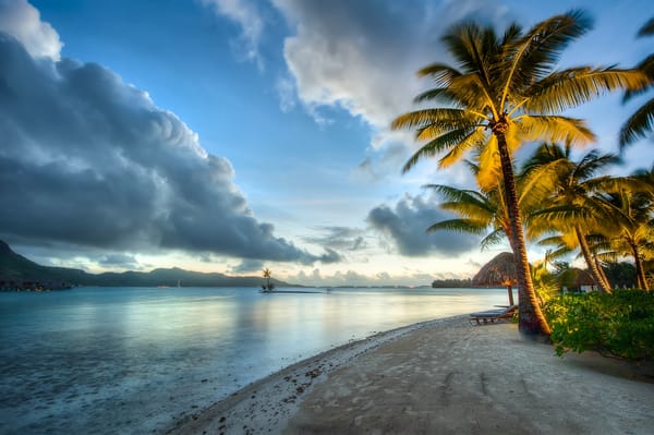 Обои Тихий океан, Французская Полинезия, пляж, Pacific Ocean, пальмы, тропики, Bora Bora, French Polynesia, океан, Бора-Бора