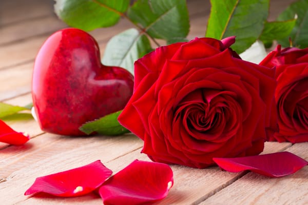 Обои красные розы, розы, red, flowers, roses, heart, бутоны, valentine`s day, romantic, love