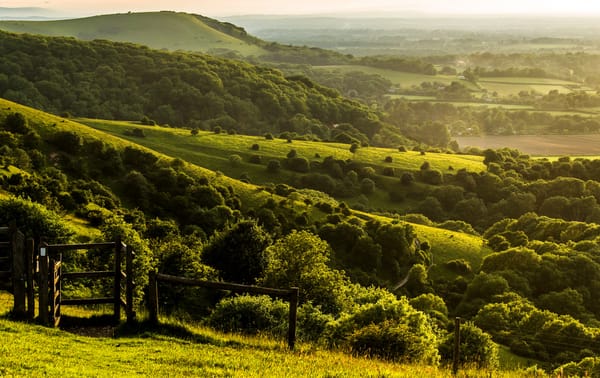 Обои Pyecombe, Великобритания, природа, зеленые, Западный Суссекс, England, Англия, холмы, поля, вечер, пейзаж, ограда, забор, West Sussex, Great Britain, ферма, деревья