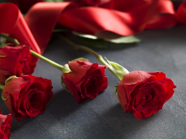 Обои красные розы, red, romantic, love, roses, лента, valentine`s day