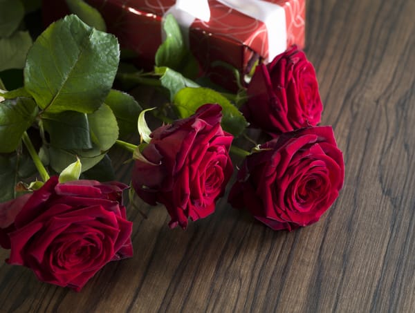 Обои red, красные розы, valentine`s day, love, gift, romantic, roses