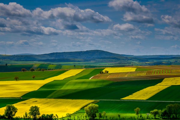 Обои поля, Германия, Рейнланд-Пфальц, холмы