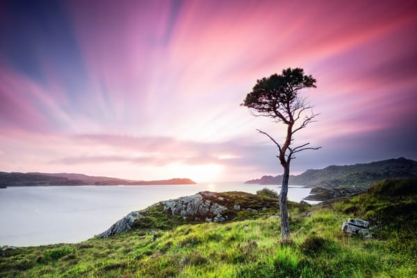 Обои Scotland, сумерки, дерево, Great Britain, трава, Великобритания, природа, зелень, закат, деревья, пейзаж, лето, вода, долина, камни, Шотландия