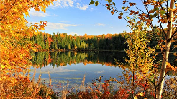 Обои Autumn, озеро, сентябрь, деревья, пруд, золотая осень, Golden autumn, листья, осень, облака, небо