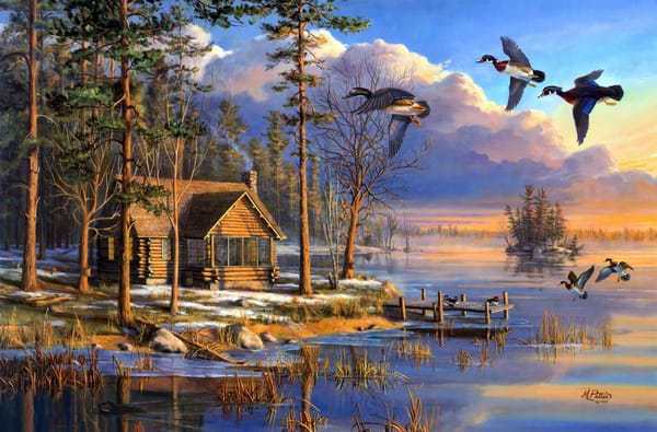 Обои sunrise, flying, house, forest, painting, ducks, Mary Pettis, Spring Arrivals, spring, lake