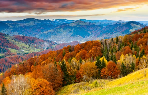 Обои sunset, пейзаж, облака, небо, природа, winter mountains, beautiful trees, красивые деревья, зимой горы, nature, sky, закат, поле, горизонт, skyline, landscape, clouds, field