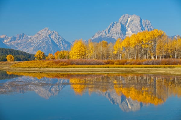 Обои США, деревья, штата Вайоминг, осень, природа, озеро, Mount Moran, Гранд-Титон национальный парк