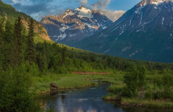 Обои лес, Eagle River, лось, Чугачские горы, горы, Игл-Ривер, Аляска, Chugach Mountains, Alaska, река