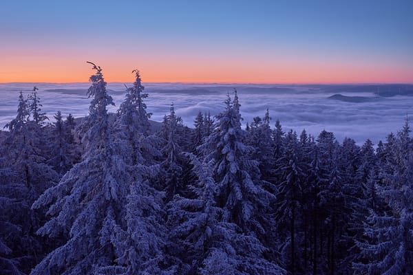 Обои лес, рассвет, деревья, Germany, Баден-Вюртемберг, Шварцвальд, Германия, ели, утро, Black Forest, Kinzig Valley, Baden-Württemberg