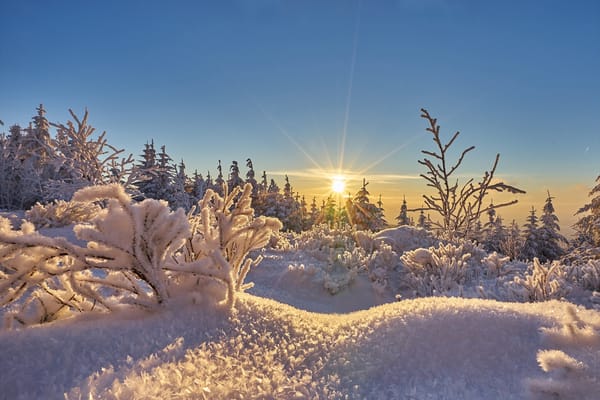 Обои небо, Шварцвальд, снег, зима, кусты, Baden-Wurttemberg, Black Forest, Germany, деревья, солнце, Германия, Баден-Вюртемберг