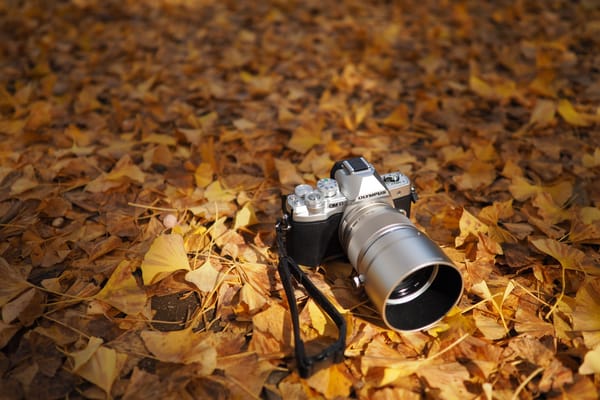 Обои листья, Olympus OM-D, осень, фотоаппарат