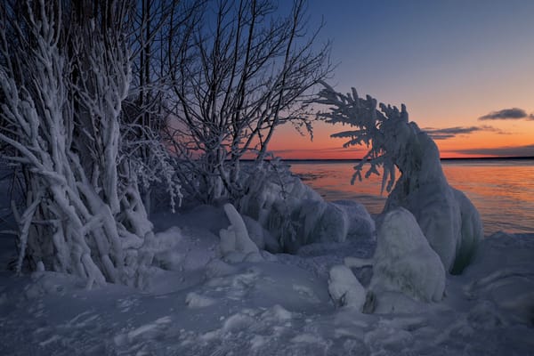 Обои закат, Канада, Залив Уайтфиш, Ontario, зима, озеро, Lake Superior, снег, Whitefish Bay, Онтарио, деревья, Озеро Верхнее, Canada