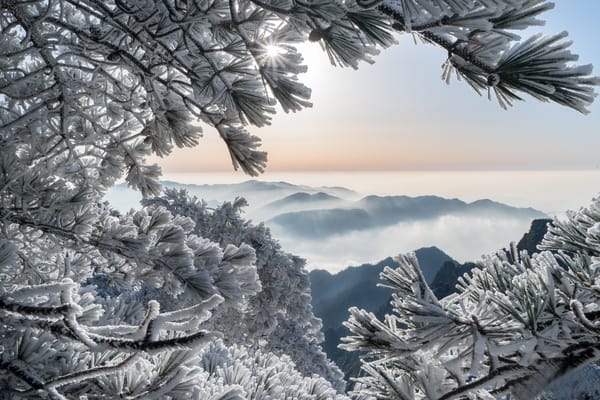 Обои ветки, иней, Горы Хуаншань, Китай, горы, сосны, China, Huangshan Mountains, зима