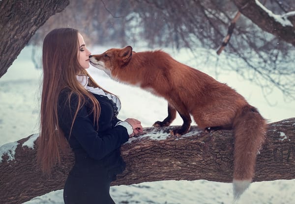 Обои поцелуй, лиса, дерево, девушка, длинные волосы, Сергей Граблёв, ситуация, рыжая