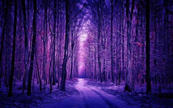 Обои winter forest, digital painting, лес, зима