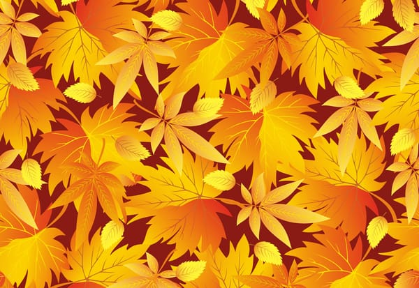 Обои текстура, the texture, the leaves fall, листики, осень