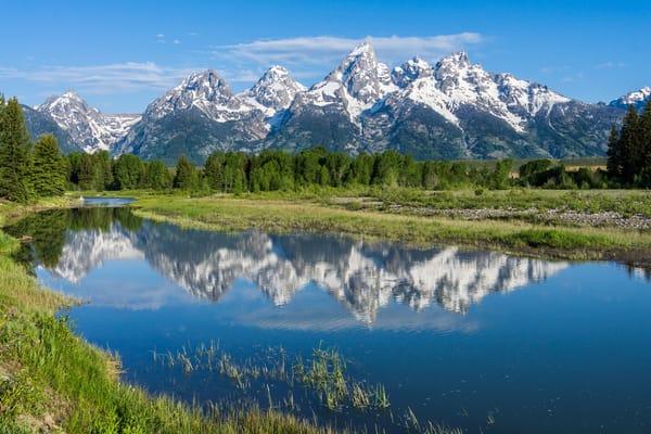 Обои деревья, Snake River, Wyoming, Скалистые горы, Река Снейк, отражение, Вайоминг, Rocky Mountains, горы, Национальный парк Гранд-Титон, Grand Teton National Park, река