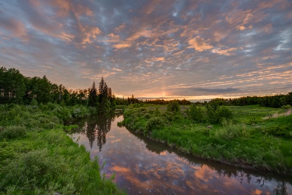 Обои Jeff Wallace, трава, вода, природа