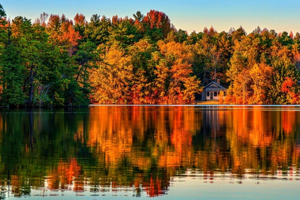 Обои Природа, деревья, vila, архитектура, лес, осень, architecture, house, forest, landscape, autumn, view, nature, вилла, пейзаж, дома, trees, scenery