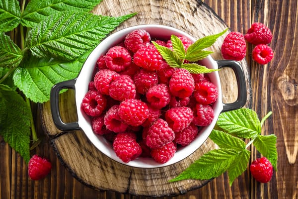 Обои еда, raspberries, малина