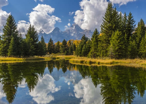 Обои горы, леса, Гранд-Титон, облака, солнце, США, Grand Teton National Park, деревья, отражение, вода, небо