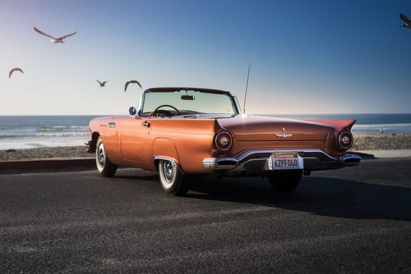 Обои 1957, форд, классика, T-Bird, Special, Thunderbird, чайки, Supercharged, Ford
