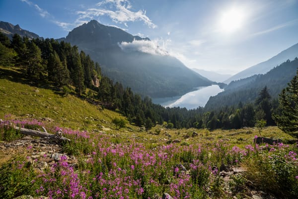 Обои горы, Spain, озеро, Aigüestortes de St, Maurici National Park, природа, лес