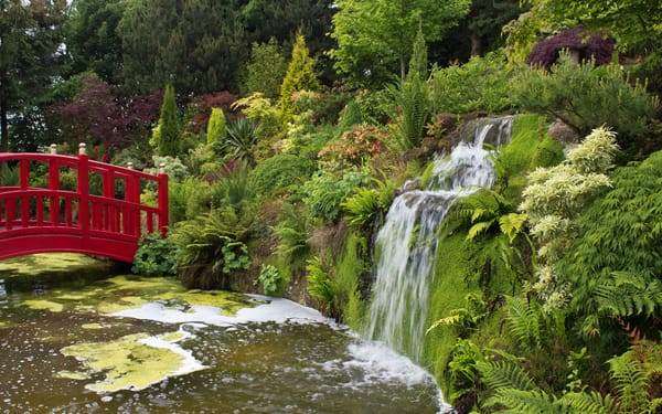 Обои Великобритания, водопад, парк, Mount Pleasant gardens, мост, зелень, пруд, кусты
