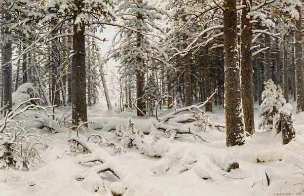 Обои Ivan Shishkin, снег, зима, природа, деревья, рисунок, лес