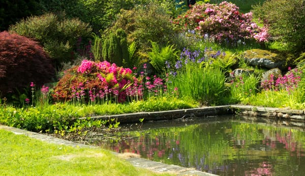 Обои Великобритания, зелень, кусты, цветы, пруд, разноцветные, сад, Mount Pleasant gardens