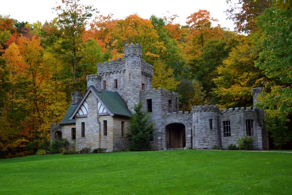 Обои США, деревья, поляна, Squires Castle, лес, замок, осень, трава