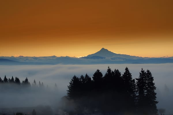 Обои mount Hood, горы, город, огни, лес, туман, вечер, Eastern Oregon