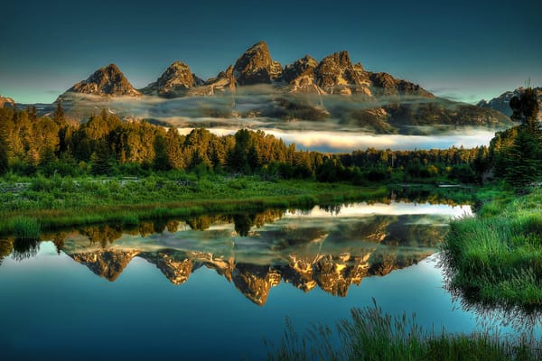 Обои Beaver, Grand, Landscapes, Ponds, Reflections, Park, National, Hole, Jackson, Teton