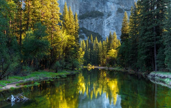 Обои Yosemite National Park, деревья, лес, США, река, Калифорния, горы