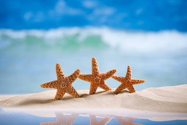 Обои summer, пляж, starfishes, sea, морская звезда, море, sand, песок, beach, vacation