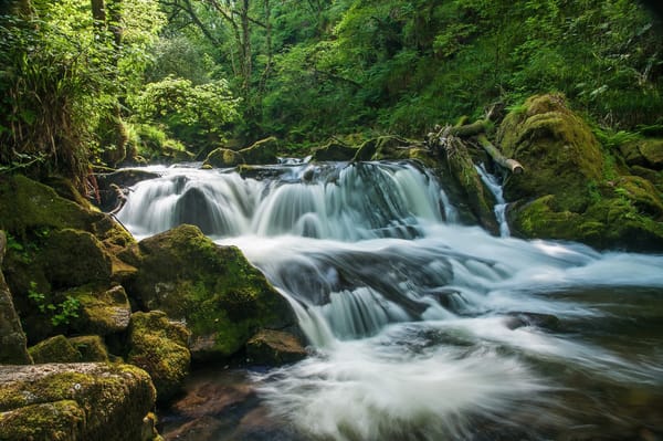 Обои Golitha Falls, лес, каскад, England, Cornwall, Англия, River Fowey, река, Корнуолл, водопад