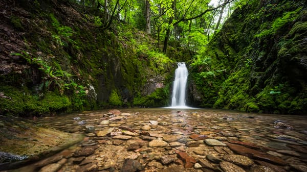 Обои Black Forest, Германия, водопад, река, лес, Germany, камни, Шварцвальд