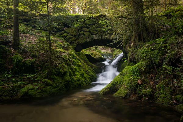 Обои Black Forest, речка, лес, Germany, Германия, Шварцвальд, каскад, ручей, мост