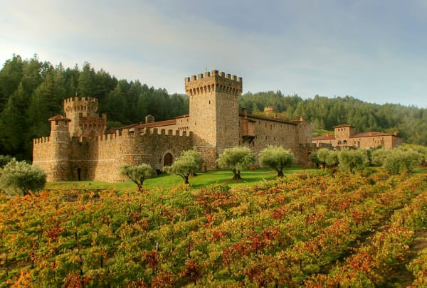 Обои Италия, деревья, трава, замок, Castello di Amorosa, поле, крепость, лес, плантация, Tuscany