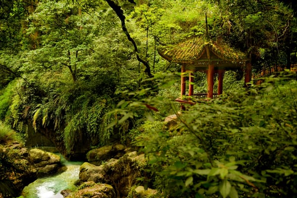 Обои Emeishan National Park, China, река, беседка, Emeishan, Эмэйшань, Национальный парк Эмэйшань, Сычуань, деревья, Sichuan, Китай, парк