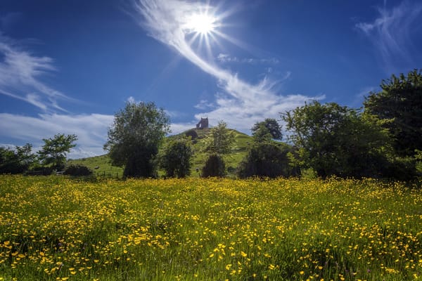 Обои Burrow Mump, холм, деревья, Сомерсет, Барроубридж, England, луг, небо, Somerset, облака, Burrowbridge, цветы, Англия, лютики