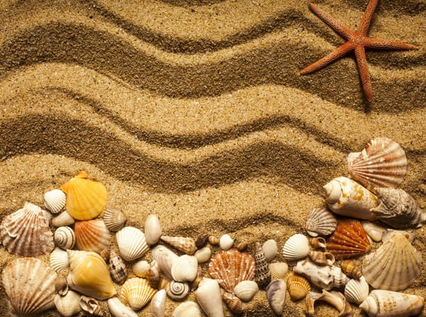 Обои sand, marine, песок ракушки, beach, starfish, seashells, texture