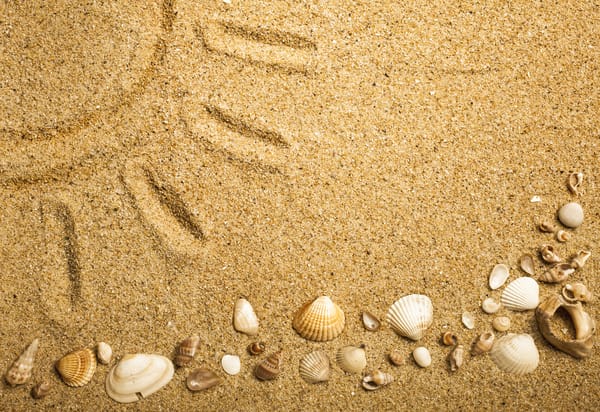 Обои sand, beach, песок ракушки, texture, marine, seashells
