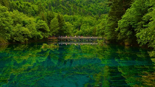 Обои Jiuzhaigou, лес, отражение, озеро, Sichuan, заповедник, мост, Цзючжайгоу, China, Китай, Сычуань