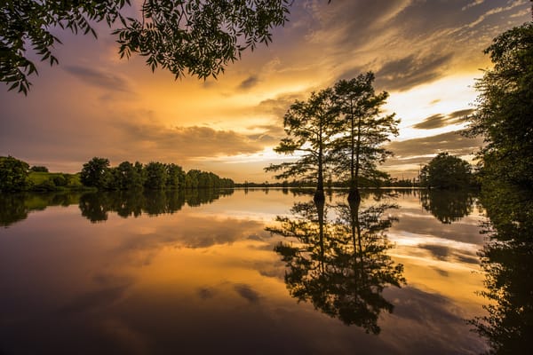 Обои Arkansas Delta, река, Arkansas, деревья, дельта Арканзаса, отражение, закат, Mississippi River, Арканзас, река Миссисипи