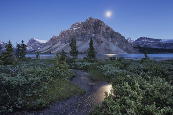Обои Bow Lake, озеро Боу, Banff National Park, Канада, Canada, Canadian Rockies, Альберта, озеро, Канадские Скалистые горы, Alberta, гора Кроуфут, ручей, Crowfoot Mountain, горы, Банф